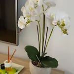 La Vaguada Apartment Zamora
