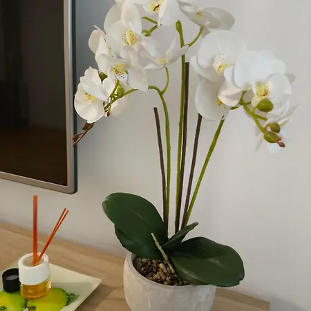 La Vaguada Appartement Zamora