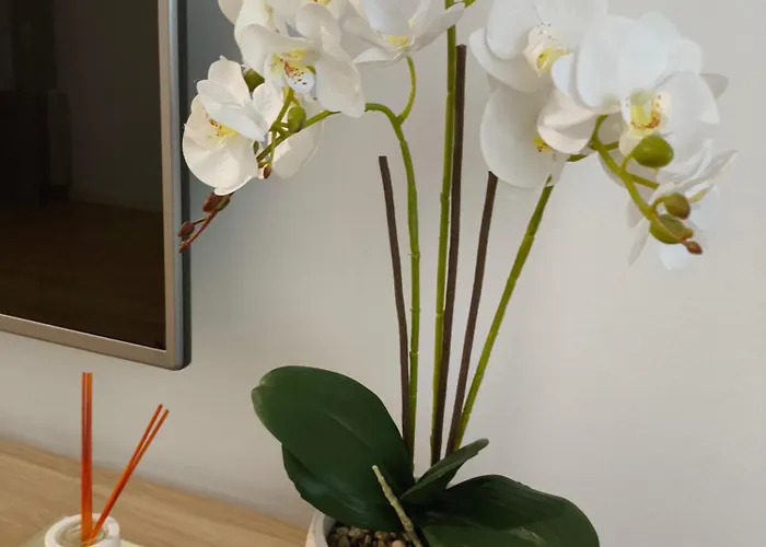 La Vaguada Appartamento Zamora